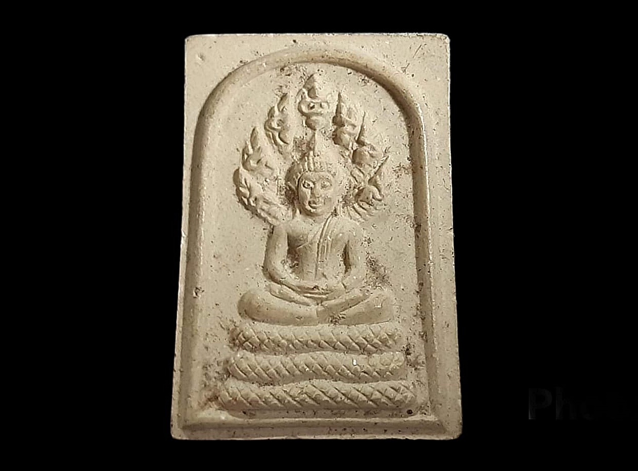 นาคปรก พระครูสุทธิศีลคุณ วัดประสิทธิเวช จ.นครนายก