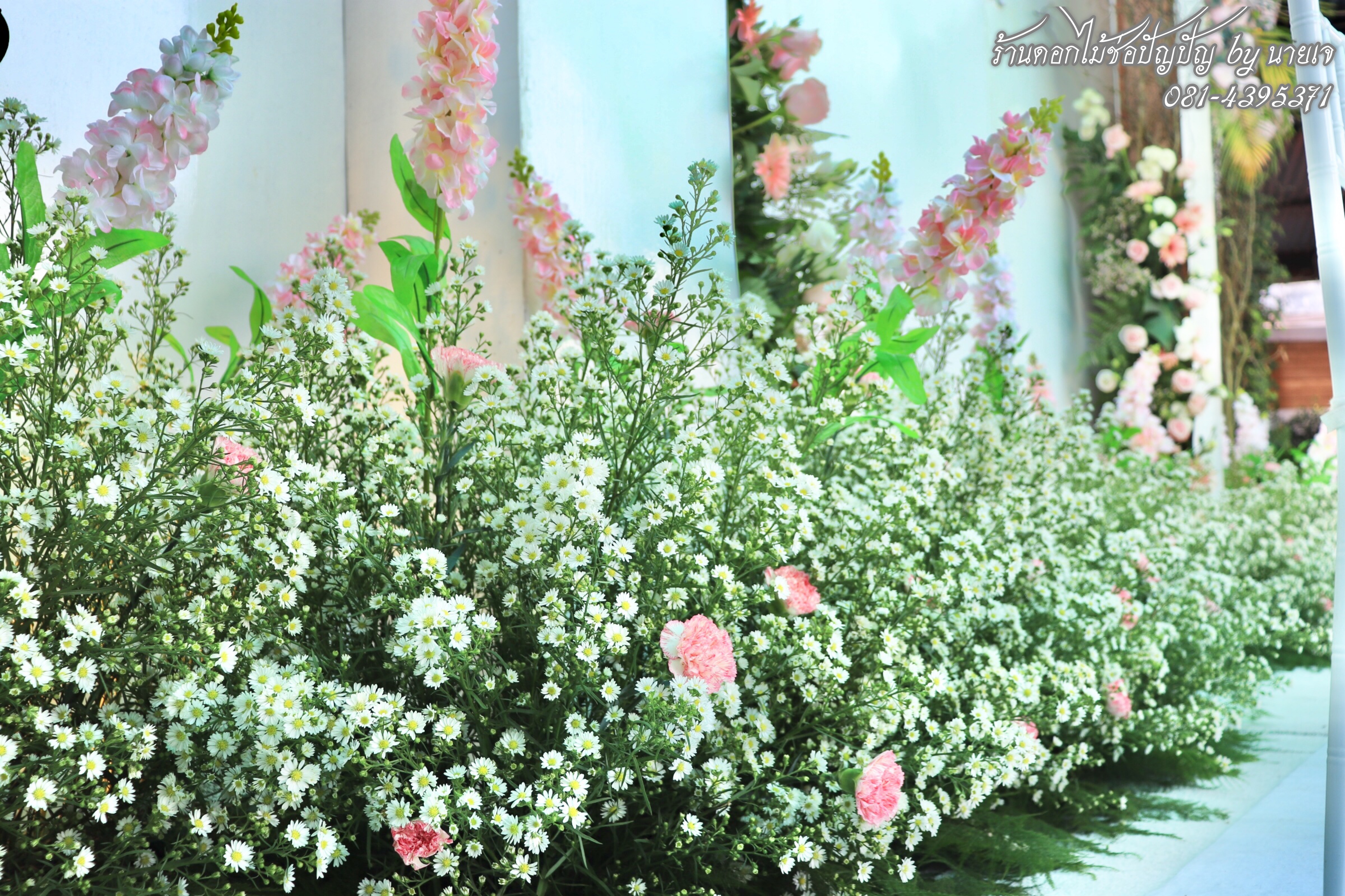แบคดรอป งานมงคลสมรสแบบจีน