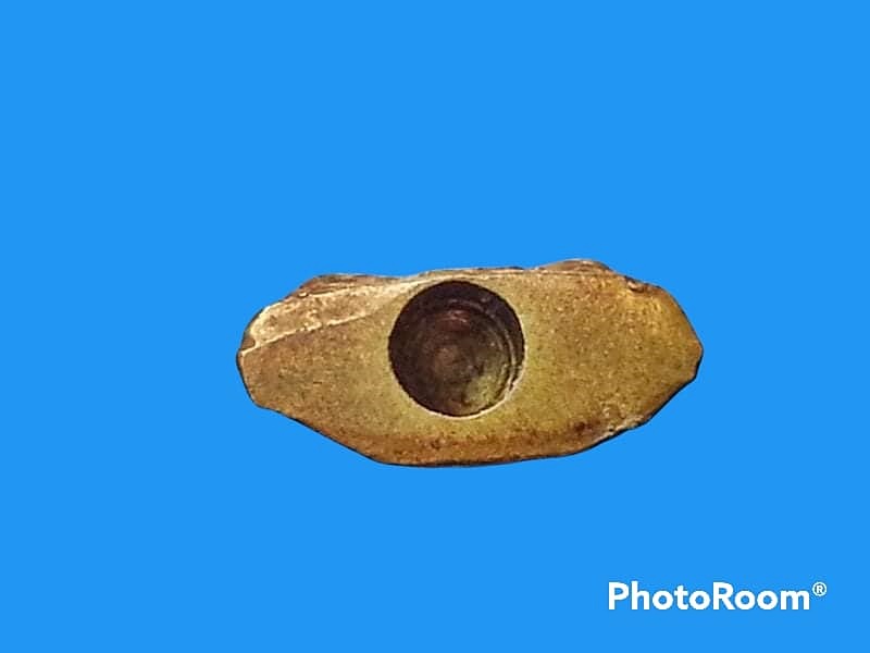 พระปั๊ม ประทานพร หลวงพ่อลี วัดอโศการาม จ.สมุทรปราการ ปี 2500 เนื้อทองแดง ก้นอุดผง องค์นี้ผงหลุด