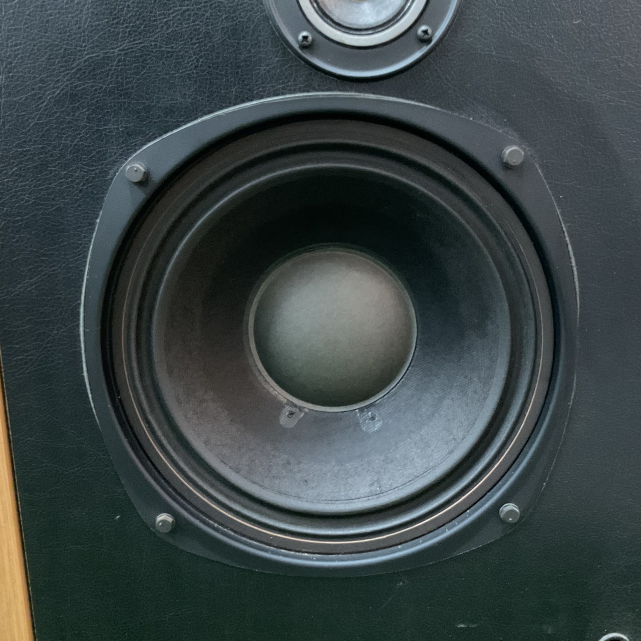 ลำโพง DIATONE : DS-22BR