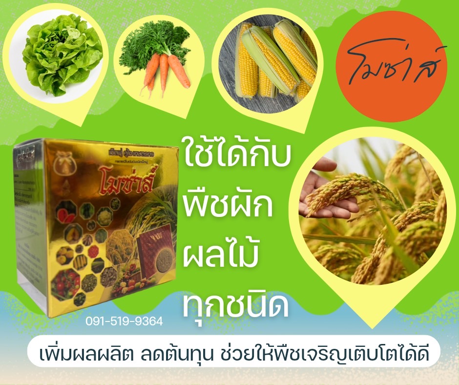 โมซ่าส์ กล่องใหม่ ปี 2566