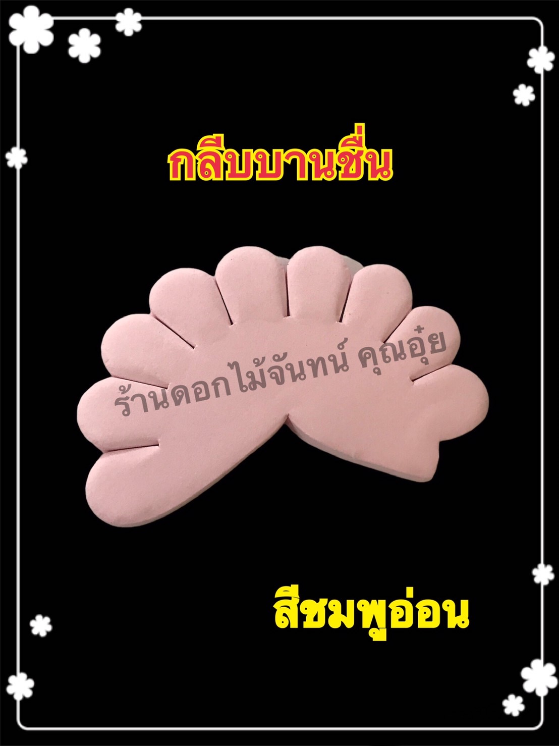 กลีบบานชื่น สีชมพูอ่อน