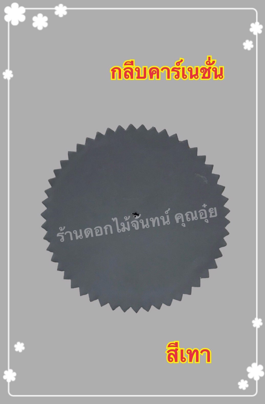 กลีบคาเนชั่น สีเทา