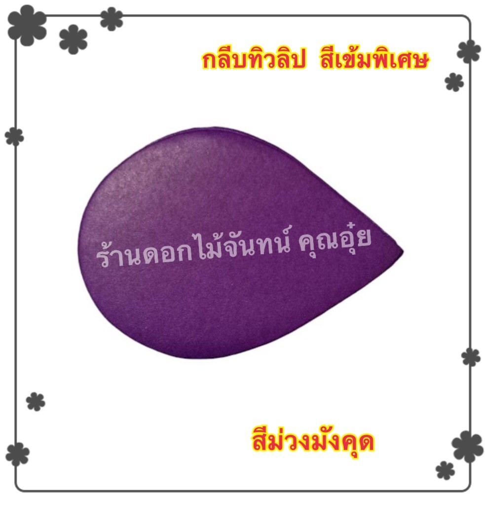 กลีบดอกทิวลิป สีม่วงมังคุด