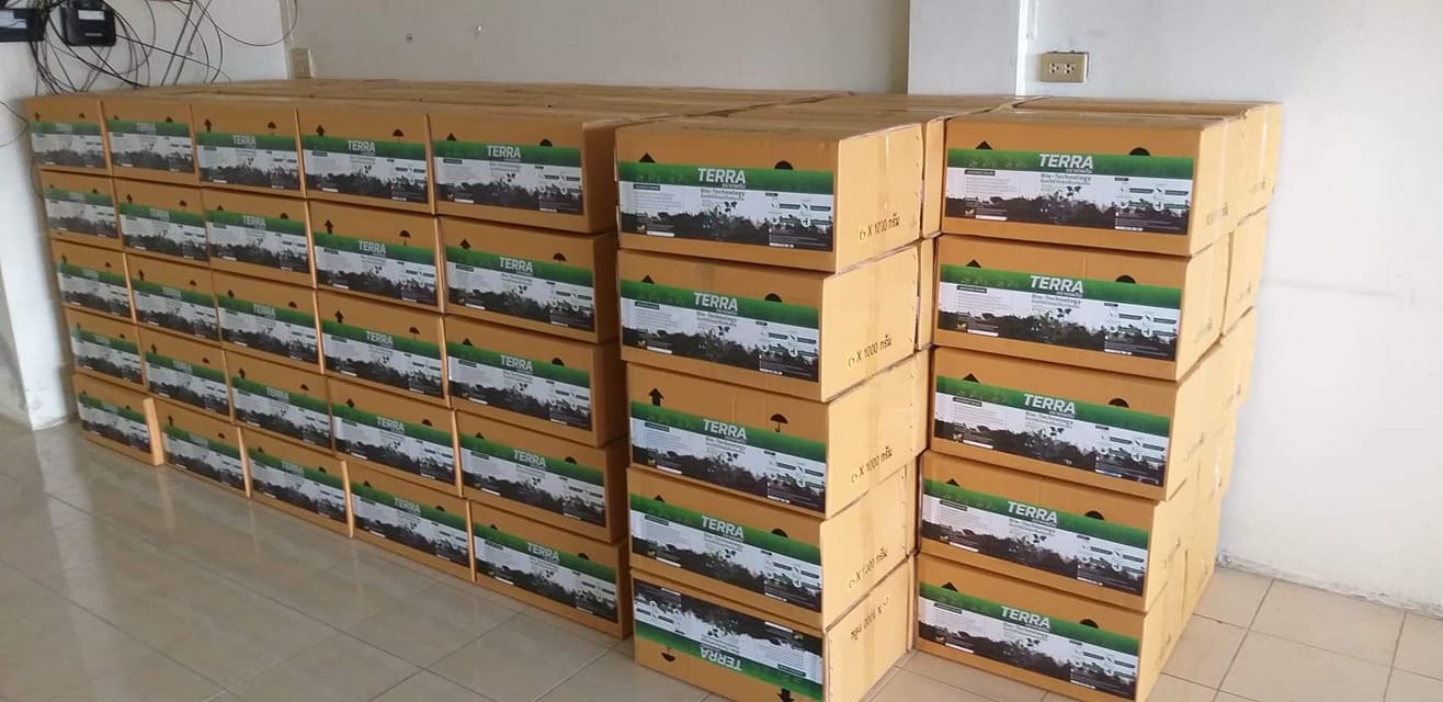 เทอร์ร่าเทพดิน