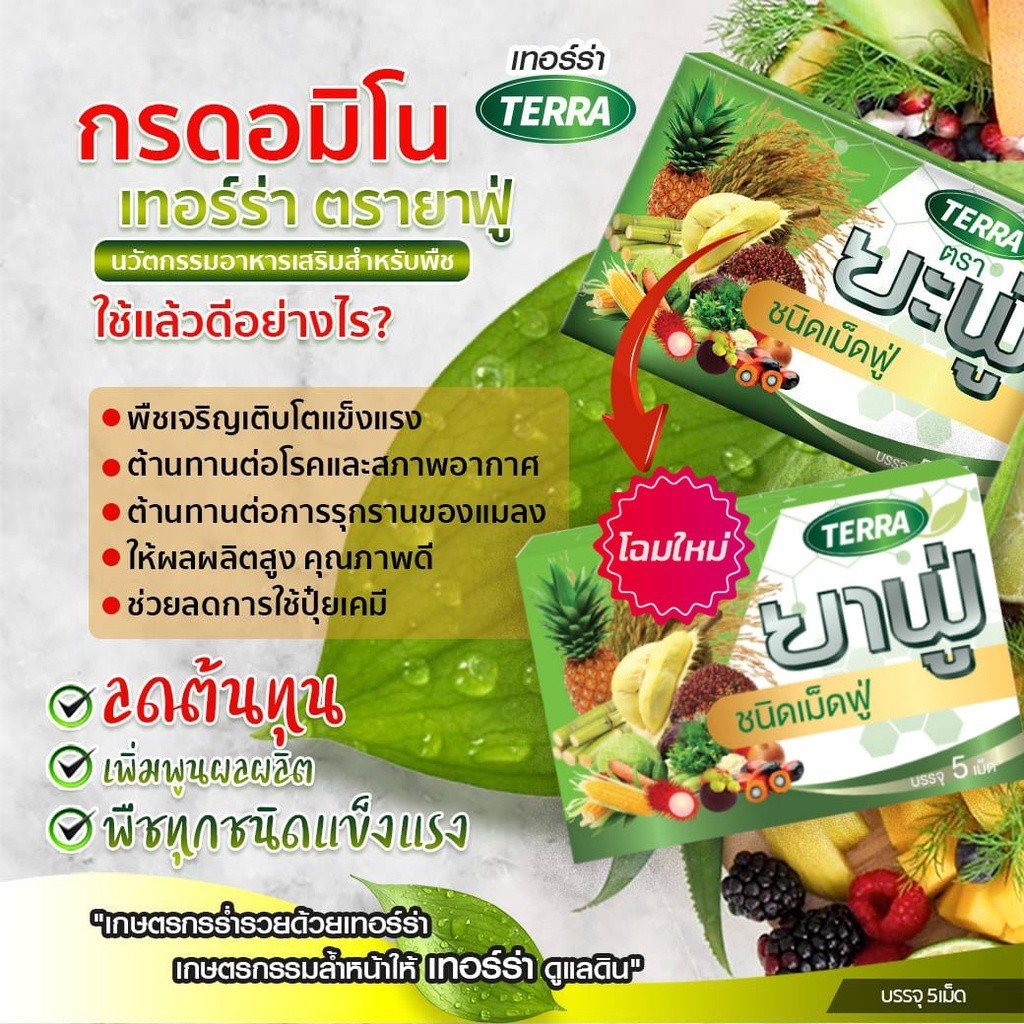 เทอร์ร่า ยาฟู่