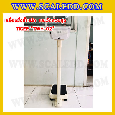 เครื่องชั่งน้ำหนักวัดส่วนสูงพร้อมค่า BMI เครื่องชั่งน้ำหนักคน เครื่องชั่งพร้อมวัดส่วนสูง200kg เครื่องชั่งน้ำหนักคน200kg พิกัดน้ำหนัก 200kg ค่าละเอียด 50g ยี่ห้อ TIGER รุ่น TWH-02