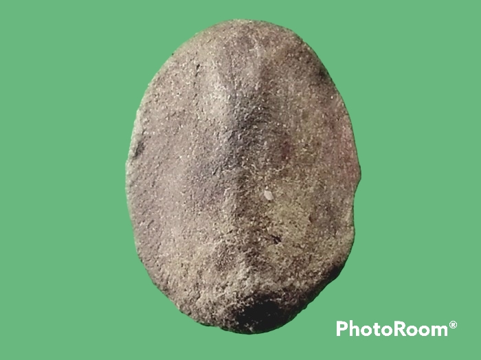 พระเม็ดบัว เจ้าคุณโพธิ์ วัดชัยพฤกษ์มาลา กรุงเทพมหานคร