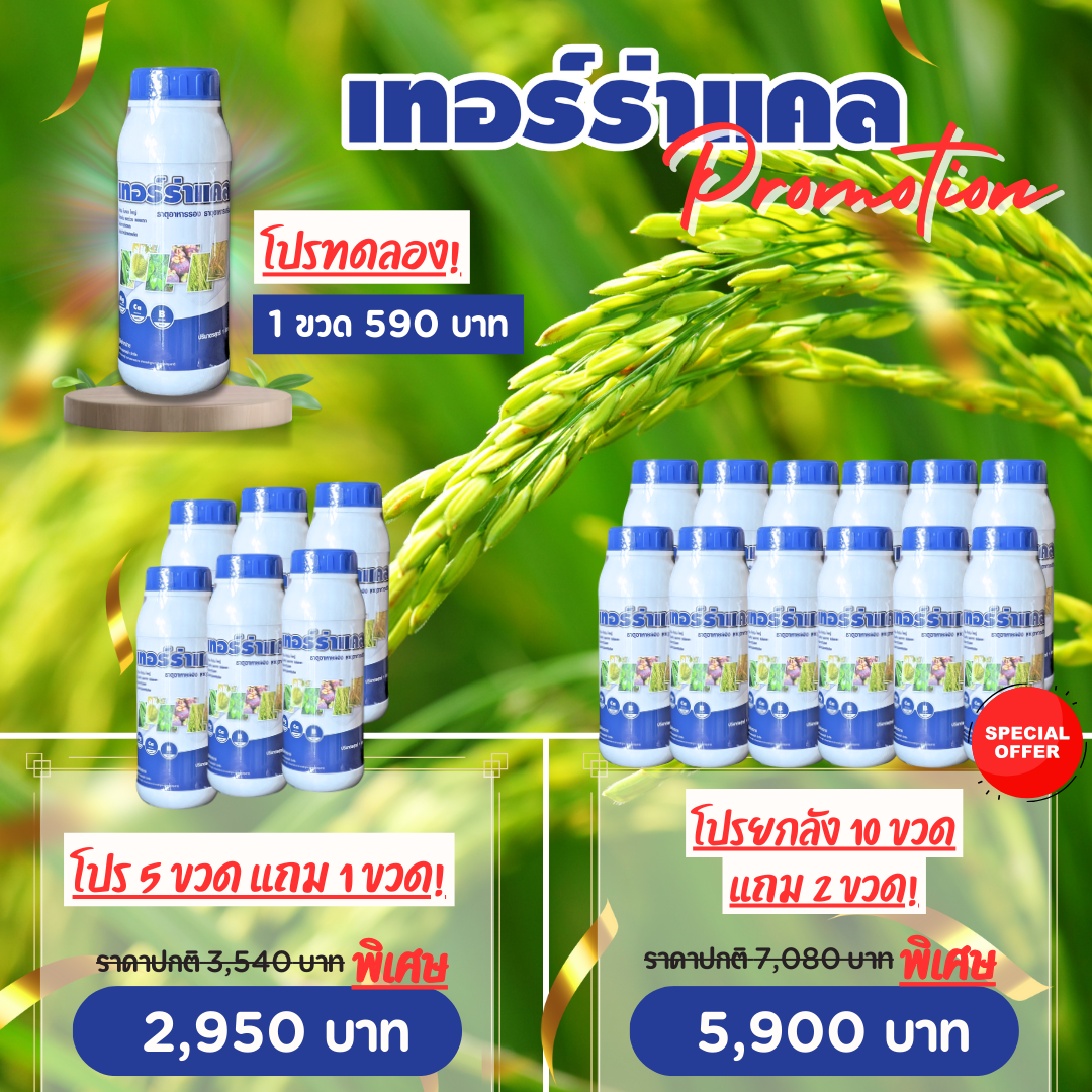 เทอร์ร่าแคล