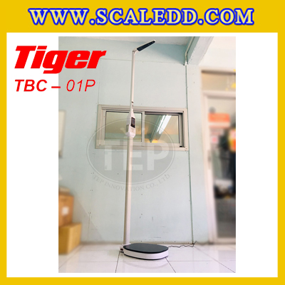 เครื่องวัดองค์ประกอบในร่างกาย เครื่องชั่งน้ำหนักคน200kg เครื่องชั่งน้ำหนักและวัดส่วนสูง 210 เซ็นติเมตร พิกัดน้ำหนัก 200kg ค่าละเอียด 50g ยี่ห้อ TIGER รุ่น TBC-01P