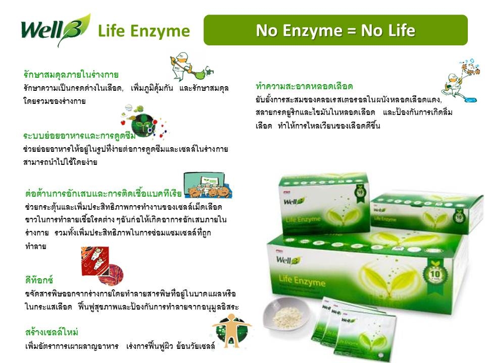 เอนไซม์ Enzyme