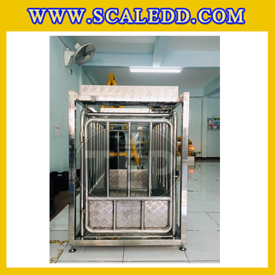 เครื่องชั่งหมูแบบมีกรง เครื่องชั่งน้ำหนักหมู กรงชั่งหมูสแตนเลส เครื่องชั่งกรงสัตว์ ชั่งน้ำหนักได้ 200 kg ค่าละเอียด 100g Pig Scales