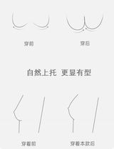 เสื้อในสปอร์ตบาร์ ไร้ขอบ