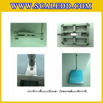 แท่นชั่งน้ำหนักแบบมีคอเสา (Bench scale) ขนาด 30x40 เซนติเมตร รับน้ำหนักตั้งแต่ 30 - 150 กิโลกรัม