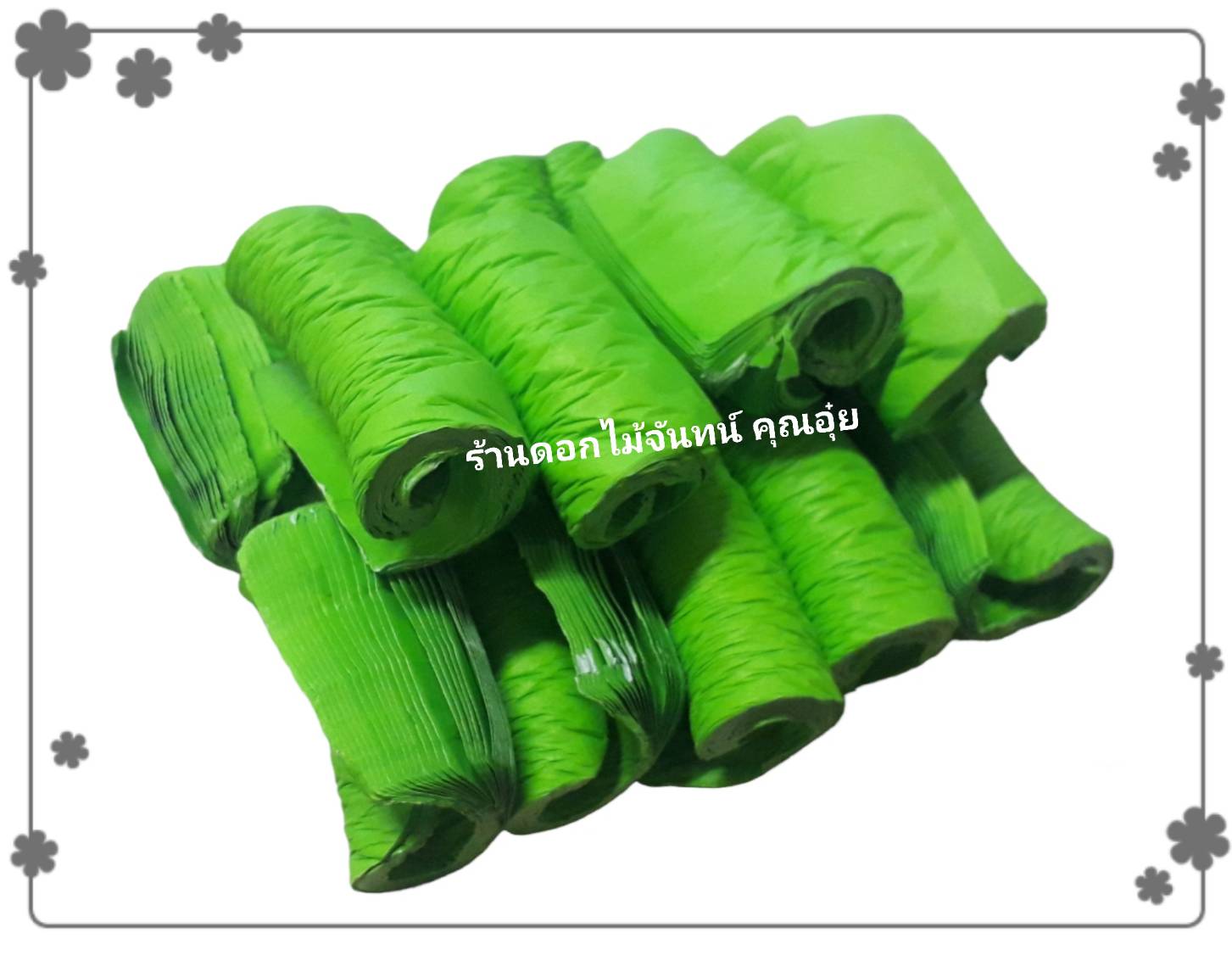กลีบดอกไม้จันทน์ สีเขียวยอดตอง