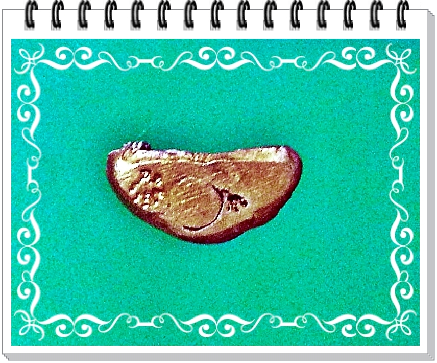 พระกริ่ง หลวงพ่อพระใส วัดโพธิ์ชัย จ.หนองคาย