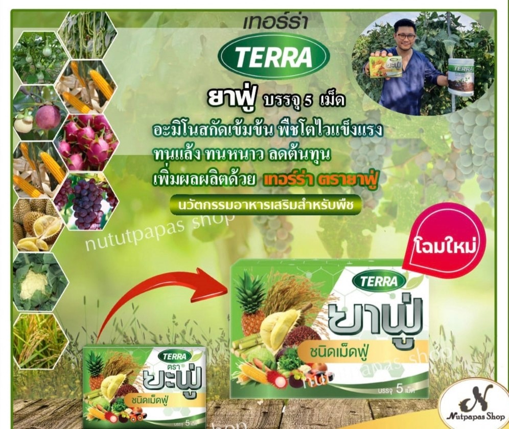 เทอร์ร่า ยาฟู่