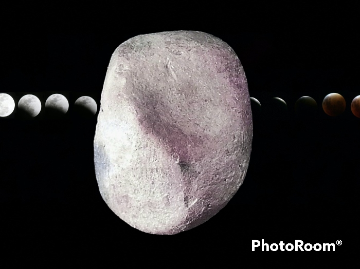 พระเม็ดบัว เจ้าคุณโพธิ์ วัดชัยพฤกษ์มาลา กรุงเทพมหานคร