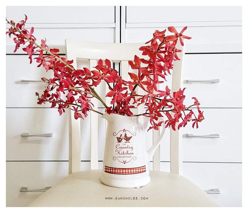 Country Kitchen Ceramic Vase แจกันเซรามิค ทรงเหยือก