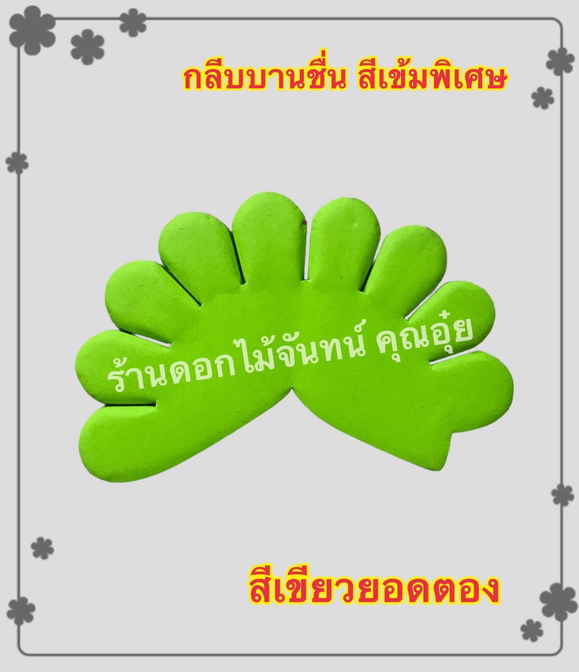 กลีบบานชื่น สีเขียวยอดตอง