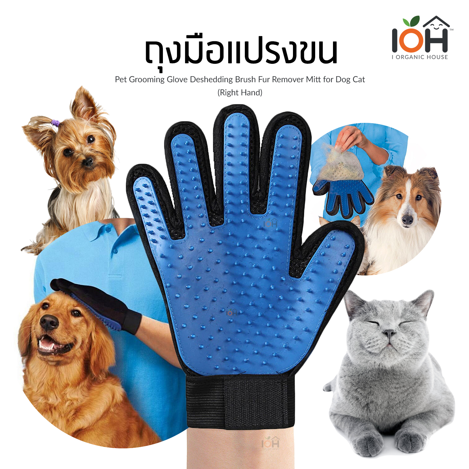 ถุงมือแปรงขน สำหรับสัตว์เลี้ยง