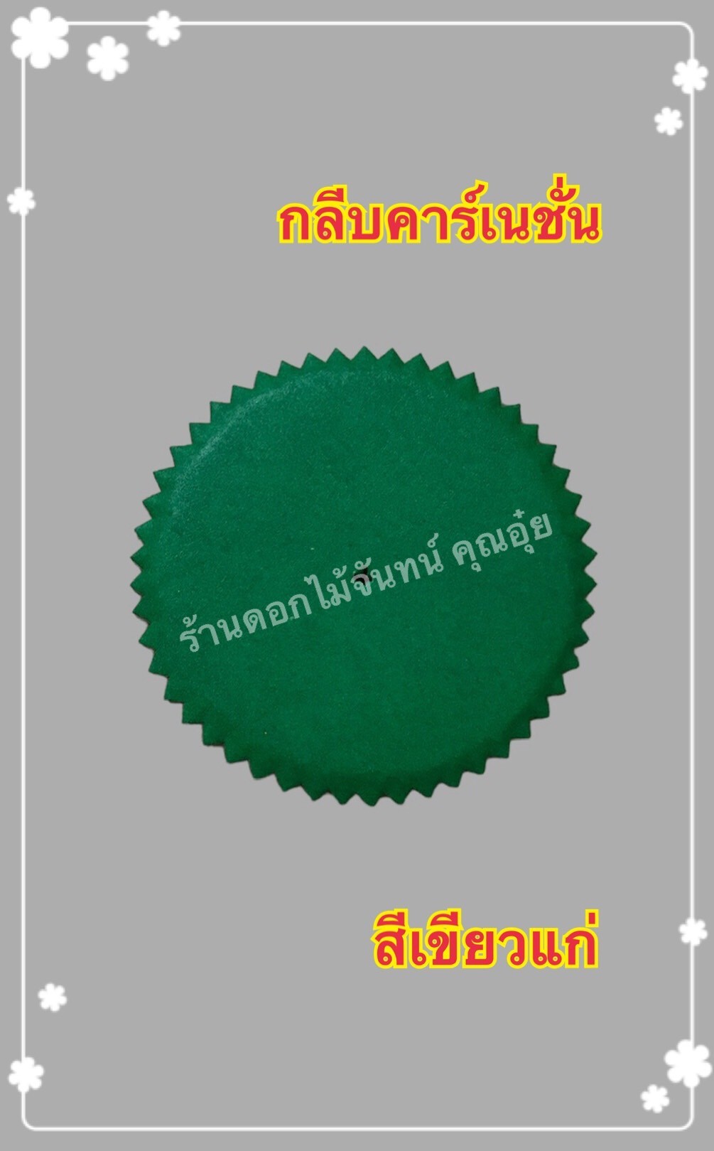 กลีบคาเนชั่น สีเขียวแก่