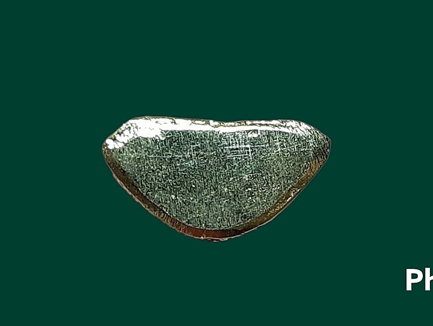 รูปเหมือนหล่อ หลวงพ่อใหย่ วัดป่าพันลำ จ.บึงกาฬ