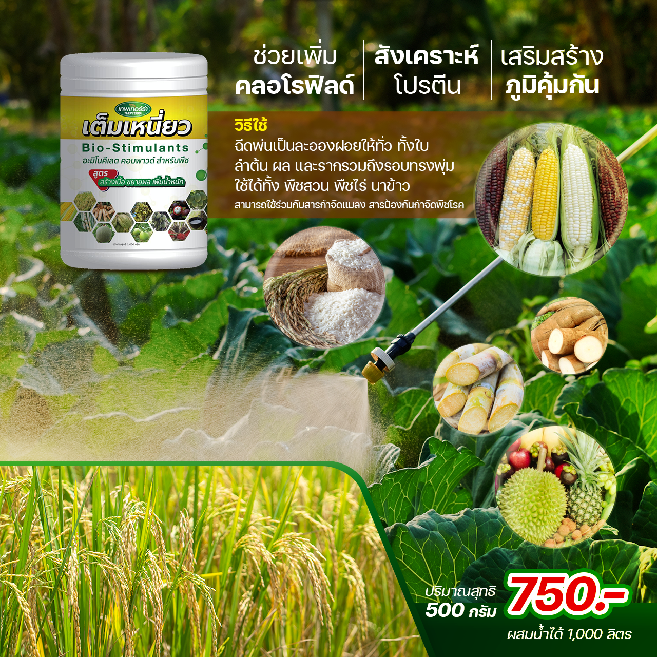 เทอร์ร่าเต็มเหนี่ยว