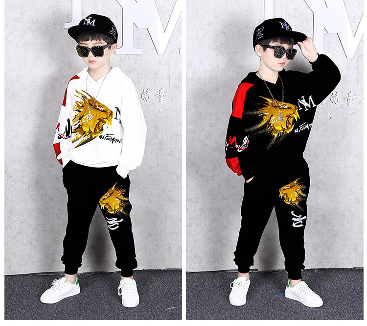 ชุดเต้น ชุดฮิปฮอปแขนยาว ลายสิงห์