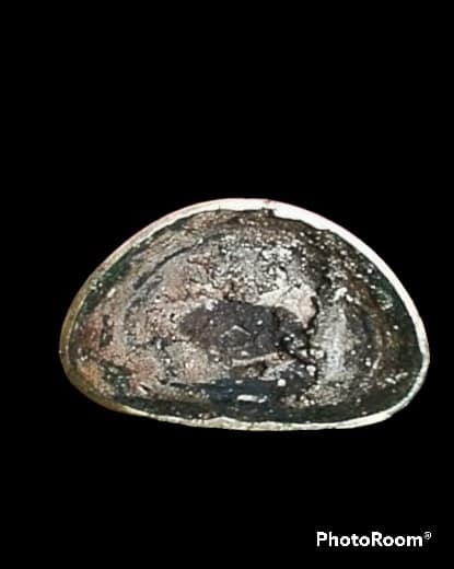 พระบูชา หลวงพ่อทอง วัดเขาตะเครา จ.เพชรบุรี