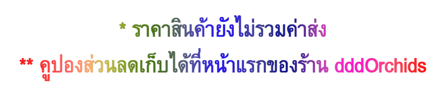 กล่องทรงลูกบาศก์ มีหน้าต่างใสด้านหน้า ขนาดกล่อง 9 x 9 x 9 เซนติเมตร หรือ 3.54 x 3.54 x 3.54 นิ้ว