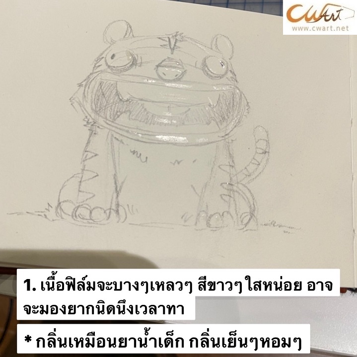 น้ำยากั้นสี Paintmore 60ml (กลิ่นเปปเปอร์มิ้น)