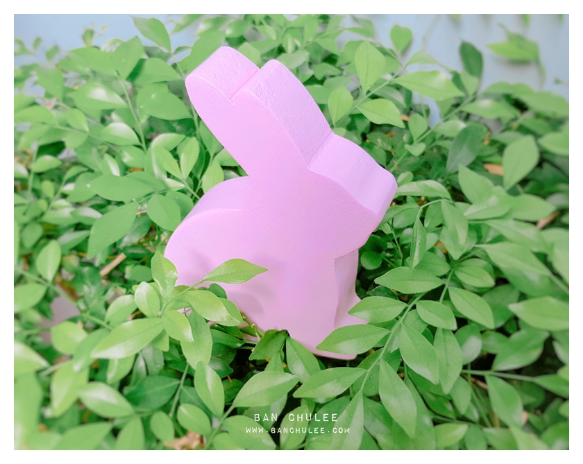 Wooden Bunny - Spring Beauty
