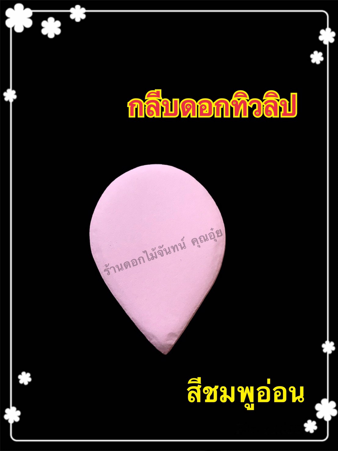 กลีบดอกทิวลิป สีชมพูอ่อน