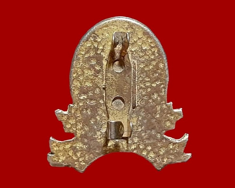 เข็มกลัด ที่ระลึก โรงเรียนสนธิราษฎร์วิทยา นครพนม