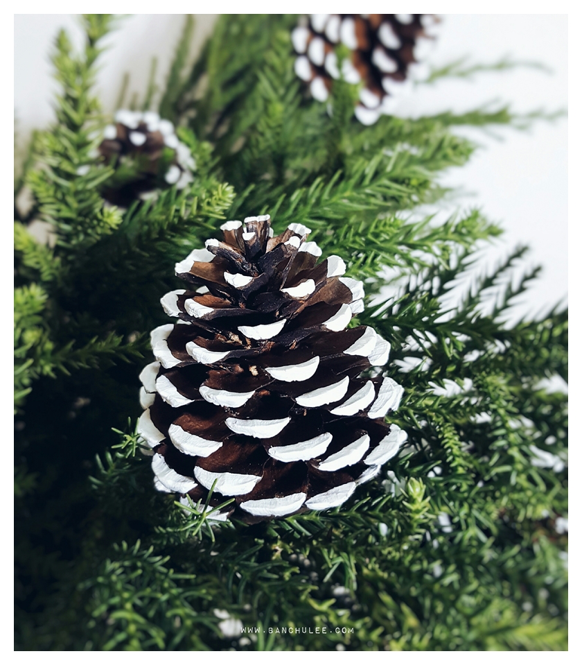 Snow Pine Cone ลูกสนธรรมชาติ สีน้ำตาลเข้ม แต้มขอบปีกด้วยสีขาว
