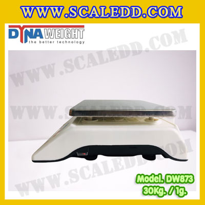 เครื่องชั่งดิจิตอล พิกัดน้ำหนัก 30kg ค่าละเอียด 1g ยี่ห้อ Dynaweight รุ่น DW873