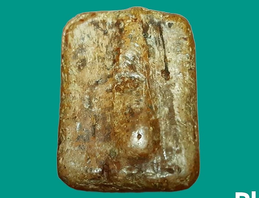 พระพิมพ์ทรงสัตว์ หลวงพ่อปาน โสนันโท วัดบางนมโค พิมพ์นก