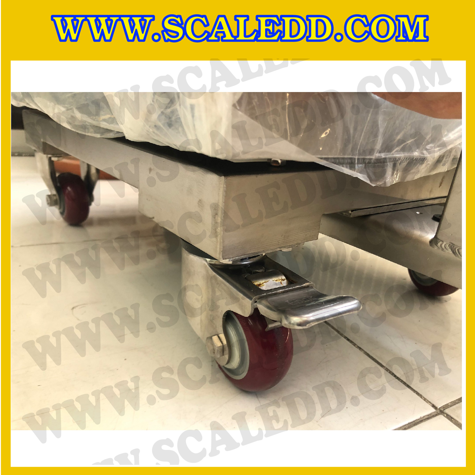 เครื่องชั่งตั้งพื้นกันน้ำสแตนเลสพร้อมล้อ 150kg รุ่น JWI-520 ขนาดแท่น 40x50 cm. เครื่องชั่งกันน้ำ150kg เครื่องชั่งดิจิตอล150kg ตาชั่งกันน้ำ 150kg ตาชั่งดิจิตอลกันน้ำสแตนเลสมีล้อ 150 กิโลกรัม พิกัด 150kg ความละเอียด 10g ยี่ห้อ JADEVER