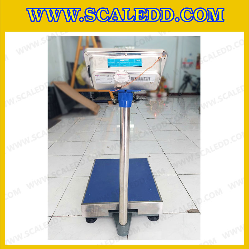 เครื่องชั่งดิจิตอลตั้งพื้น พิกัดน้ำหนัก 300kg ค่าละเอียด 50g ขนาดแท่นชั่ง 40x50 cm. ยี่ห้อ Dynaweight รุ่น DW611 (เครื่องชั่งผ่านตรวจรับรองจากสำนักชั่งตวงวัด)