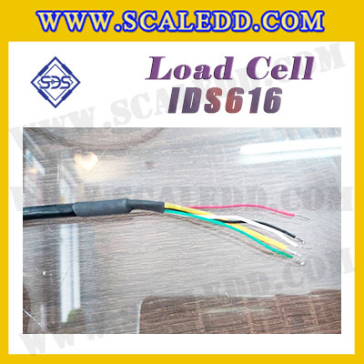 โหลดเซลล์ (Load cell) Stainless Steel IDS616-HSS สำหรับรองรับน้ำหนักเครื่องชั่ง พิกัดน้ำหนัก : 30, 50, 100, 150, 200, 250 Kg โหลดเซลล์ ยี่ห้อ SDS