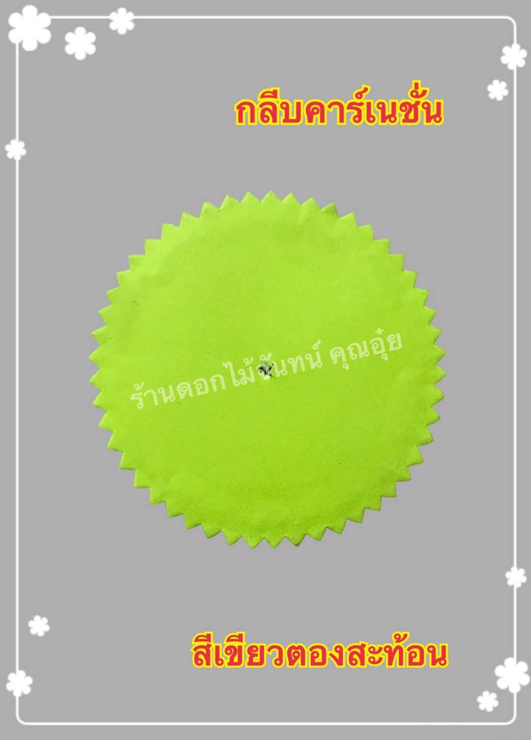 กลีบคาเนชั่น สีเขียวตองสะท้อน
