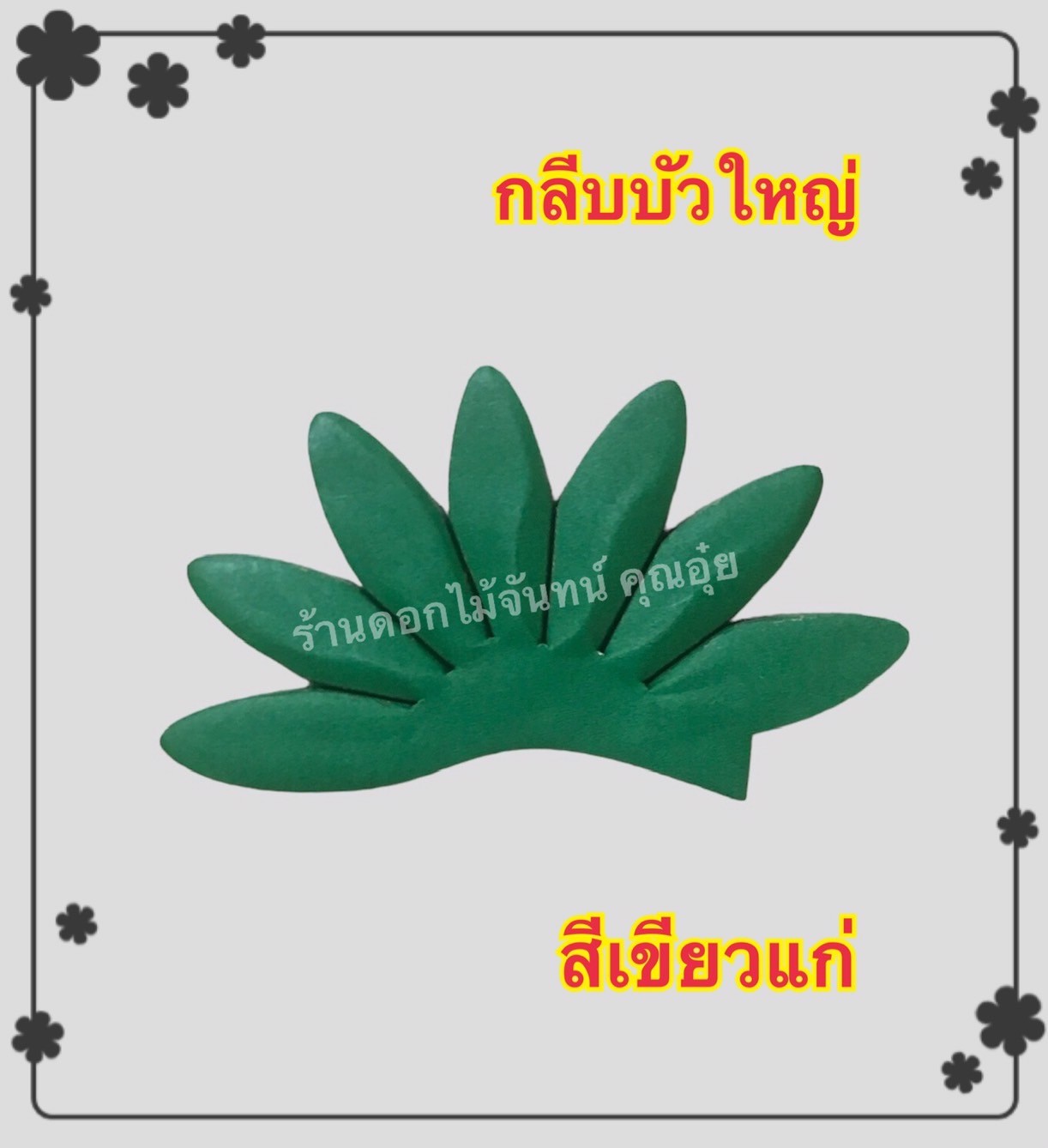 กลีบบัวใหญ่ สีเขียวแก่