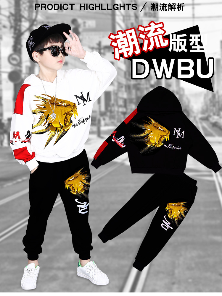 ชุดเต้น ชุดฮิปฮอปแขนยาว ลายสิงห์