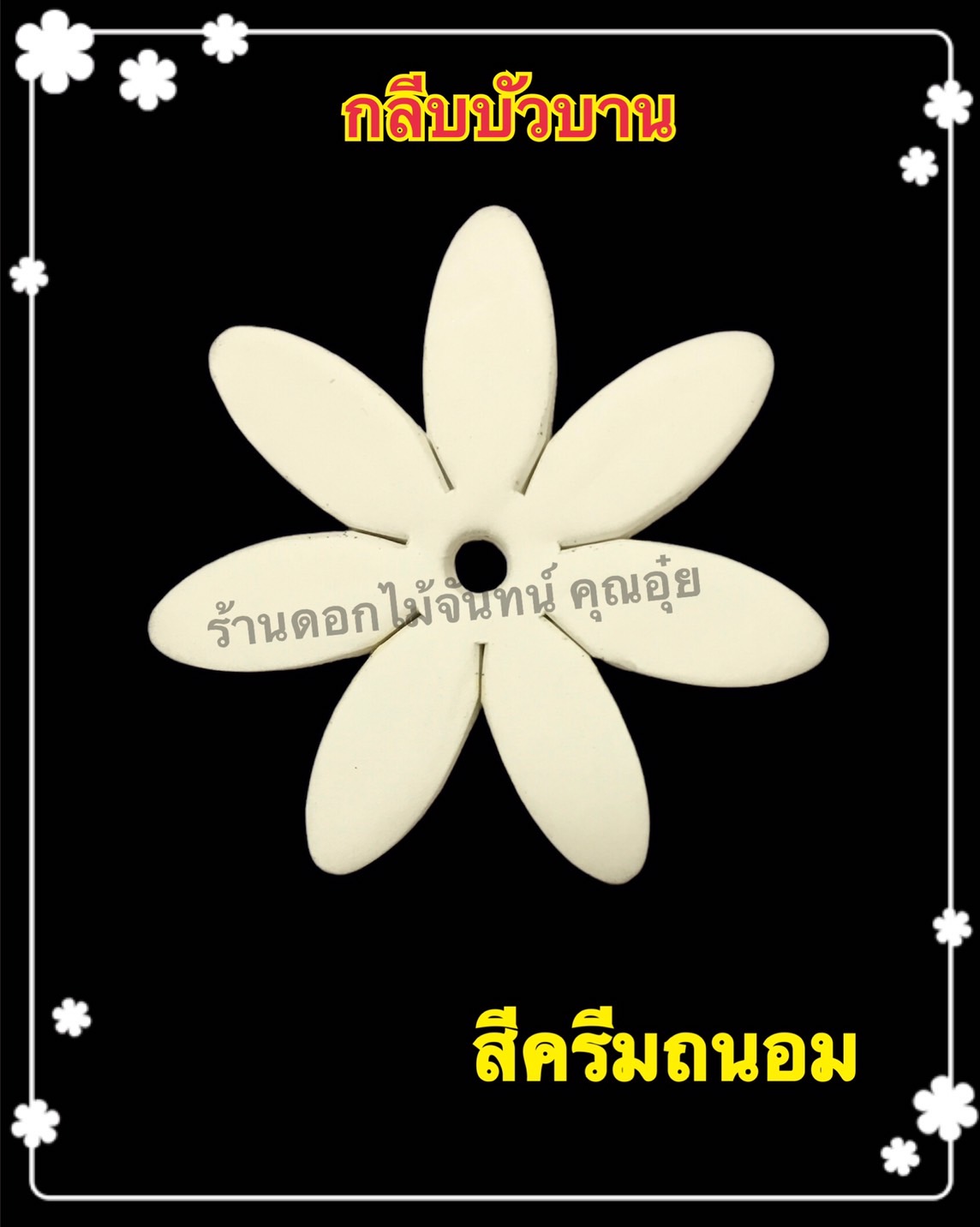 กลีบบัวบาน สีครีมถนอม