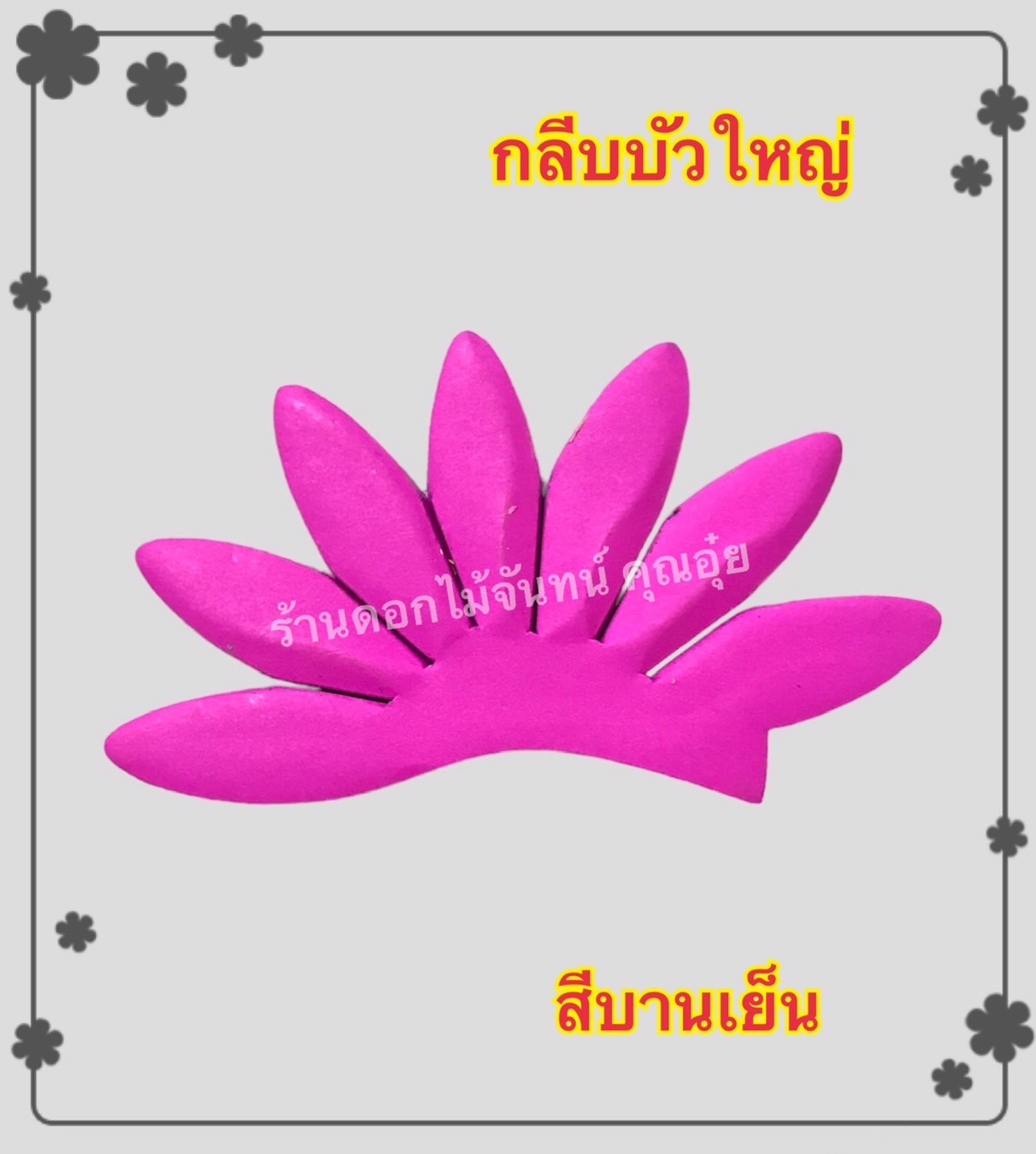 กลีบบัวใหญ่ สีบานเย็น