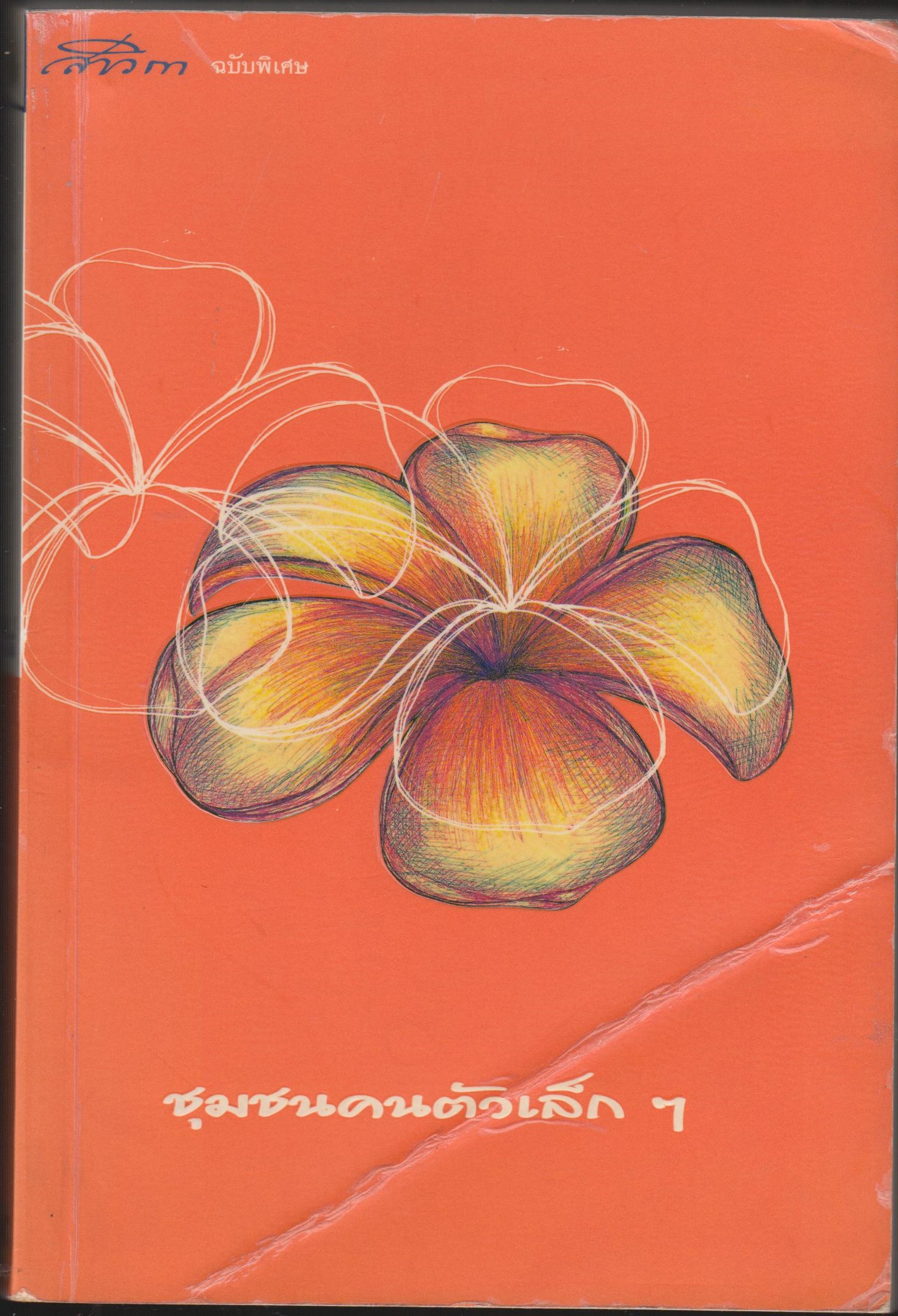 สาวิกา ฉบับพิเศษ ปีที่ 7 ฉบับที่ 48 พ.ศ. 2548