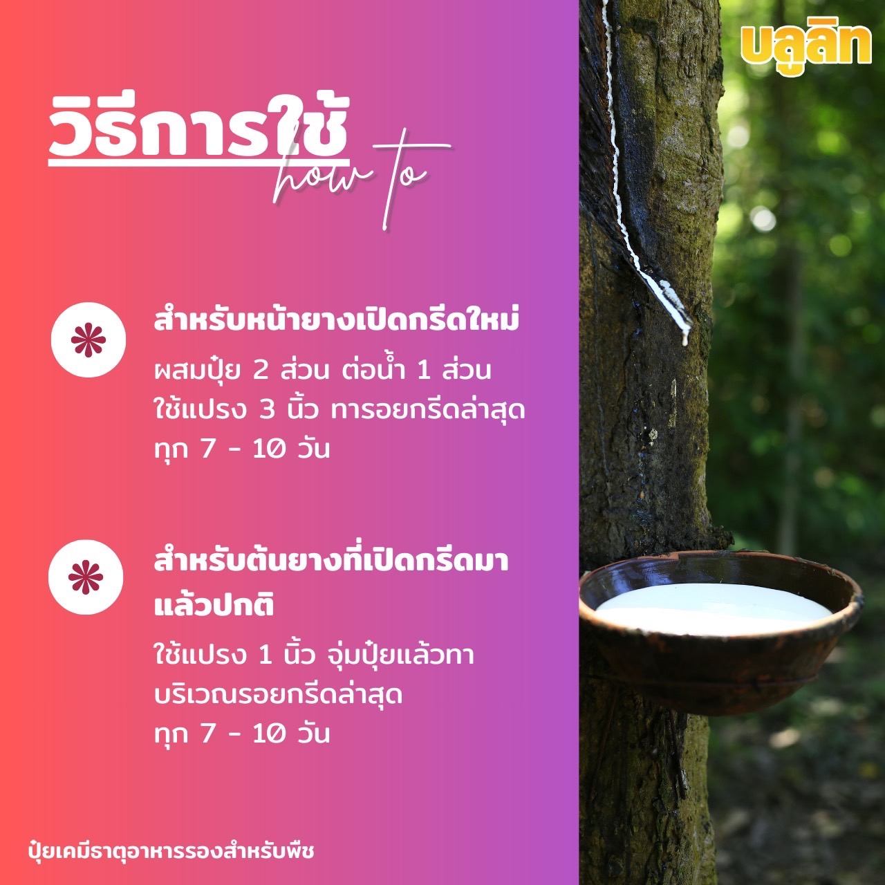 บลูลิท บำรุงต้นยางพารา