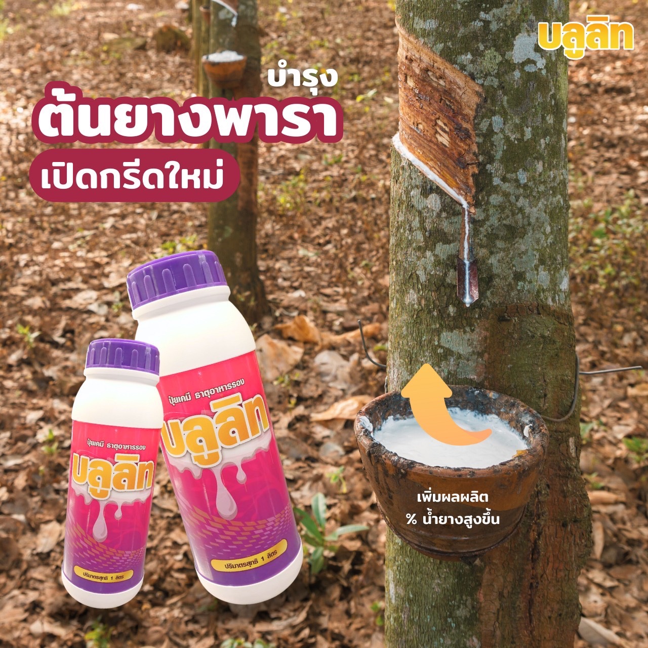 บลูลิท บำรุงต้นยางพารา