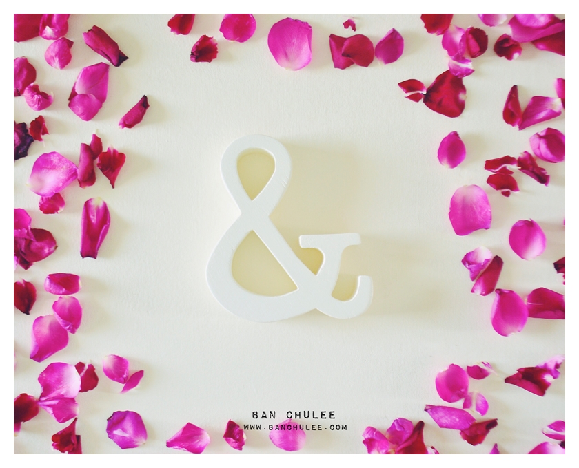 Shredded Wheat - สัญลักษณ์ & (Ampersand) ตั้งโต๊ะ งานไม้สัก โทนสีครีม